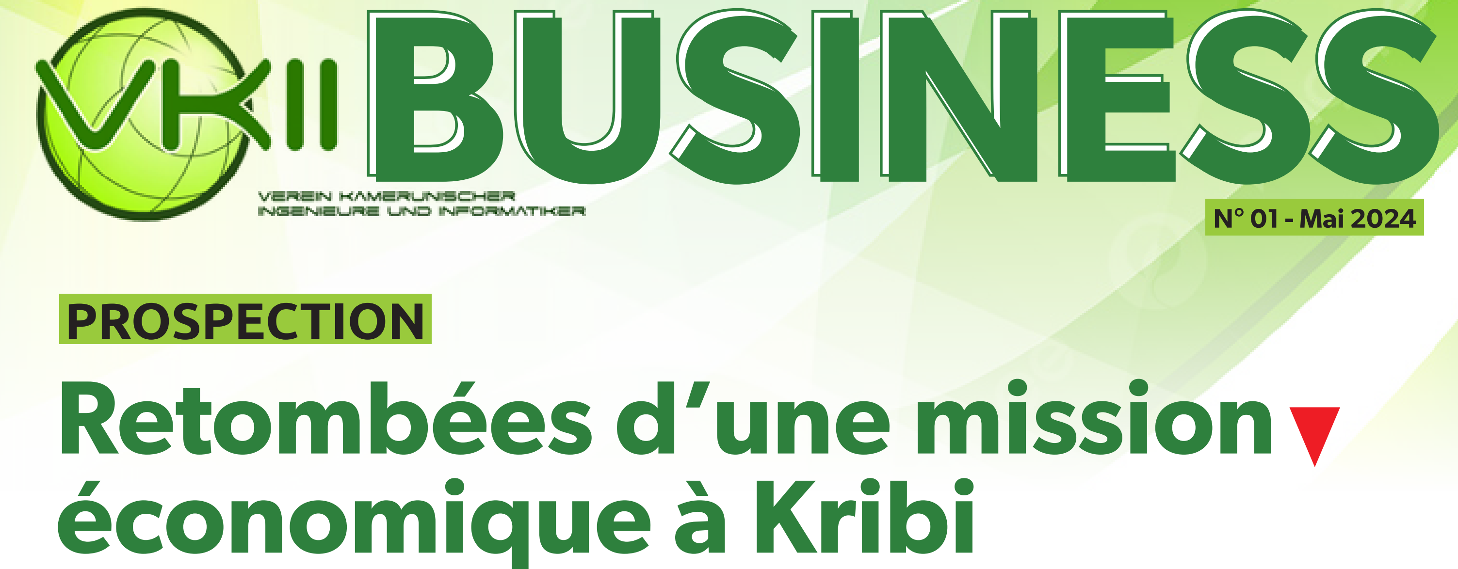 Vkii Business: Retombées d’une mission économique à Kribi