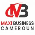 Maxi-Business
